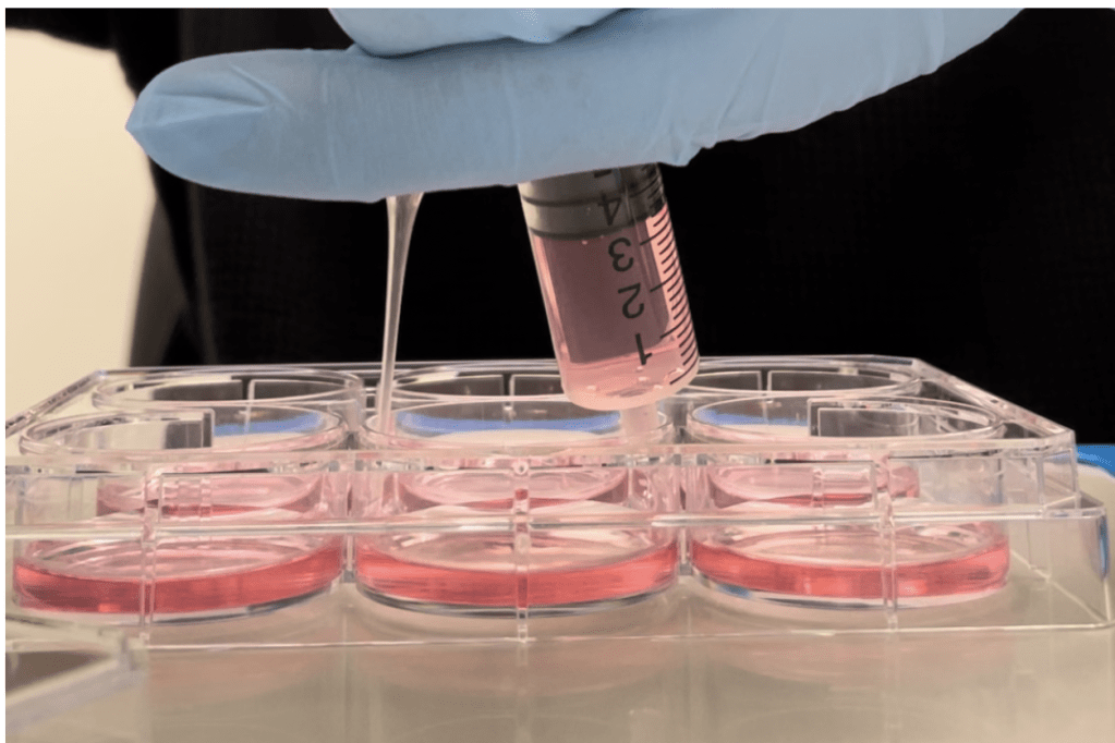 Yaddaş və öyrənmə yalnız beyin hüceyrələrində baş vermir. Bədənimizdəki  digər hüceyrələr də, məsələn böyrək hüceyrələri, öyrənmə və yaddaş formalaşdırma qabiliyyətinə&nbsp;malikdir.